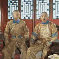 还珠格格 尔康 永琪 张大嘴 古装