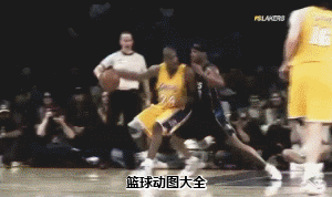 NBA 篮球 精彩 运动