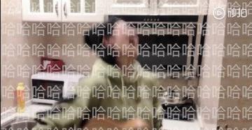白鹿 可爱 文字表情包 沙雕 小姐姐