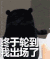 熊本熊 转身 终于轮到我出场了 特效