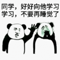 熊猫头 好好向他学习不要再睡觉了 斗图 搞笑 猥琐