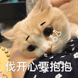 萌宠 猫 猫咪 喵星人 不开心 伐开心 要抱抱