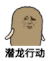 猫屎 金馆长 甩手 潜龙行动