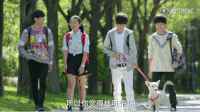 tfboys 王源 王俊凯 易烊千玺 小别离 张子枫 遛狗 散步 明星爱豆