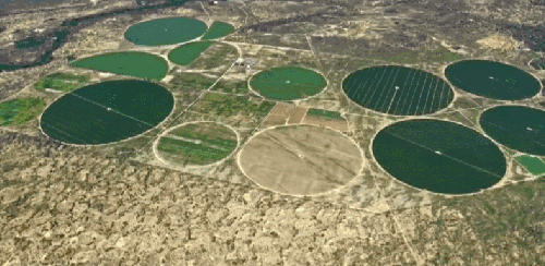 圆形 榆林市 纪录片 航拍中国 陕西 沙漠农业