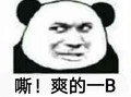 金馆长 熊猫头 斜眼睛 嘶爽的B
