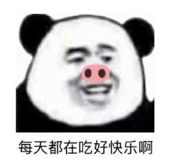 熊猫头 搞笑 蠢萌 逗 魔性