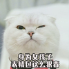 萌宠 喵星人 身为女孩子 好狠毒 呆萌 可爱