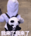 崔李浩 萌娃 我来了我来了 可爱 搞笑 萌萌哒