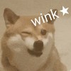 萌宠 汪星人 wink 爱你 呆萌 可爱