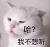 萌宠 猫星人 哈 我不想听 呆萌 可爱