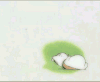 夏目友人帐 猫咪老师 健身 搞笑