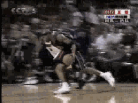 韦德 NBA 热火 盖帽 卡特