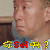 极限挑战 孙红雷 你sei啊 你谁啊 蒙圈 综艺 soogif soogif出品