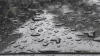 雨 自然  风景  美丽