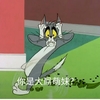 猫 你是大屌萌妹 捂头 停不下来