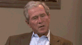小布什 政治 乔治  访谈