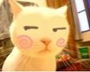 可怜猫猫变形记 鄙视 猫咪 搞笑