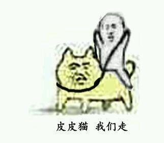 皮皮猫 我们走 斗图 搞笑 猥琐