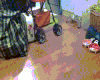 喵星人 亮点 搞笑 萌宠 猫 猫咪