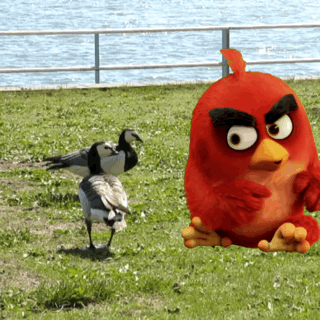 愤怒的小鸟 Angry Birds movie 破壁 次元壁 不要过来 走开