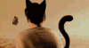 猫耳朵 无不无聊 搞笑 gif