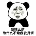 熊猫头 斗图 搞笑 我辣么萌 为什么 不给我发月饼