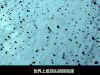 七十七天 77天 风景 旅游 soogif soogif出品