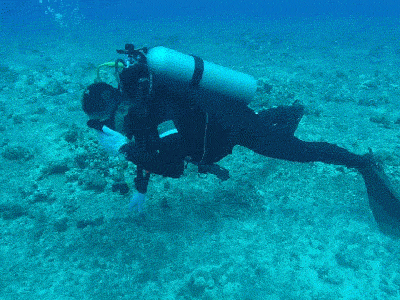 海洋 潜水 氧气罐 探索