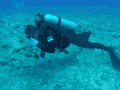 海洋 潜水 氧气罐 探索