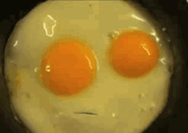 双黄蛋 鸡蛋 美食 恶搞 诱惑 简单好吃 美味