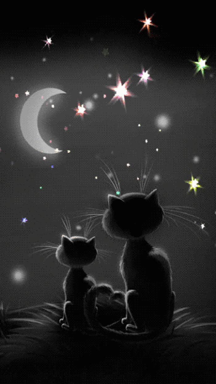 月亮 星空 遥望 小猫