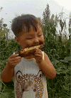 萌娃 吃烤玉米 满脸黢黑 搞笑