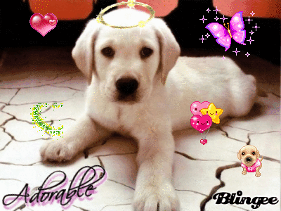 小狗 设计素材 动态图 卡哇伊