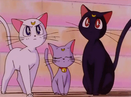 三只猫咪 卡通 眨眼 可爱 月牙