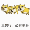 斗图 狗狗 单身狗 三狗行 必有单身 七夕