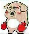 金馆长 猪 拳击手 比赛 摔角