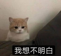 萌宠 猫星人 我想不明白 可怜 呆萌 可爱
