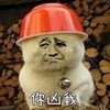 萌宠 猫星人 你凶我 委屈 难受 伤心