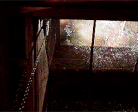 下雨 闪电 害怕 帅气