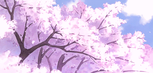 桃树 桃花 蓝天白云 落叶