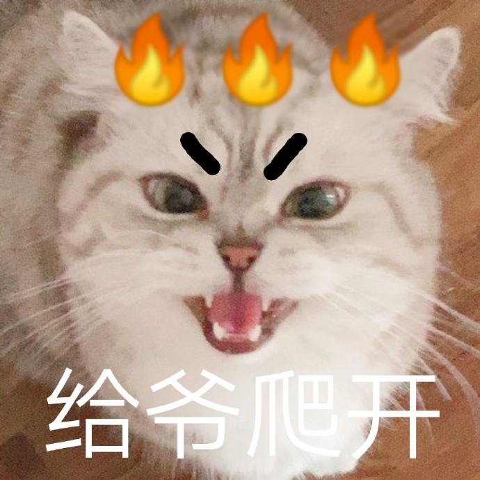 萌宠gif猫星人gif给爷爬开gif你走开gif搞怪gif呆萌gif