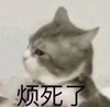 萌宠 喵星人 烦死了 烦人 搞怪 逗