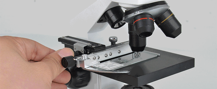 显微镜 画面 梦幻 实验