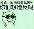 你们想造反吗 金馆长 开心 墨镜