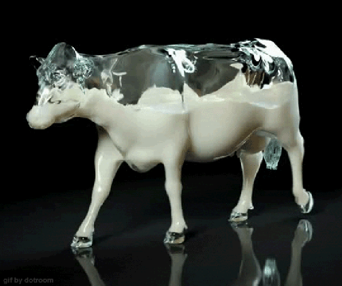 奶牛 走路 动态 牛角