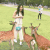 美女 梅花鹿 可爱 围绕