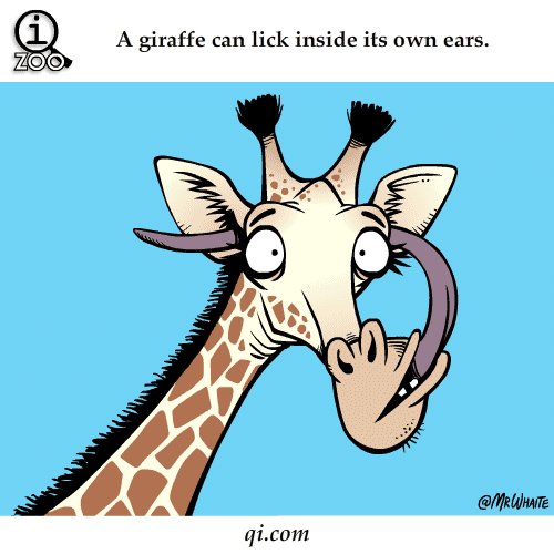 动画 卡通 长颈鹿 吃东西