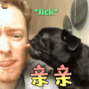 萌宠 狗 亲亲 撩人 soogif soogif出品