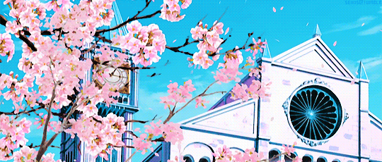 樱花 漂亮 钟表 蓝天